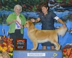 Rocklane's Cruz'n The Catwalk BN NF