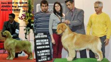 BIS. J.Ch.Ur.Ar. Jov.Venc AmyCar. Ch.Ur. De La Capilla Morfeo