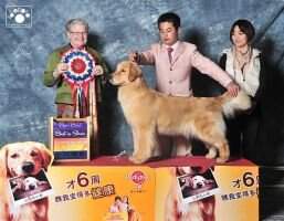 PRC.CNKC. CH superstar's snow white in christmas
