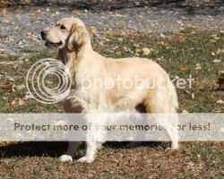 Westben She Be A Diva
