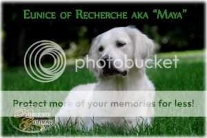 Eunice of Recherche