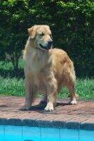 Chasse C Vida Chasse C Vida