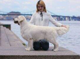 Ua, Ch Srb Pinkerly Catherine Morland Ua, Ch Srb Pinkerly Catherine Morland