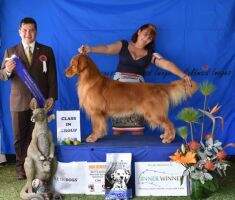 Aust. Supreme Ch./Am./Can. Ch. Edgecombe's Wysiwyg Chaos Bound For Botany Bay