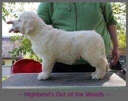 Highbend's Out of the Woods