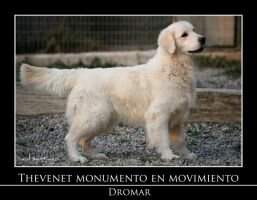 Thevenet Monumento En Movimiento Thevenet Monumento En Movimiento