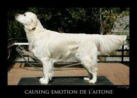 Causing Emotion de L'Aitone Causing Emotion de L'Aitone