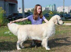 CLUB CH RUS CH CLUB GRAND 3xCH RKF 2xCACIB Right Hunter Icy Lady