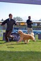 Fetch&Smell Barbour Taxman