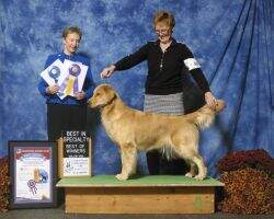 GCH/ CH Sarabay's Cobra High Performance ATD GCH/ CH Sarabay's Cobra High Performance ATD