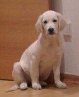 I Love You Mia de Moinho do C?u