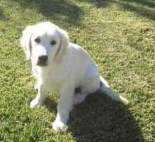 I Love You Eva de Moinho do C?u