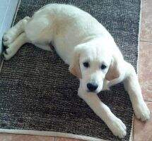 I Love You Cee Lo de Moinho do C?u