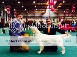 SWI CH, CIE Valdelesabeyes de Vallserrat AmW-15