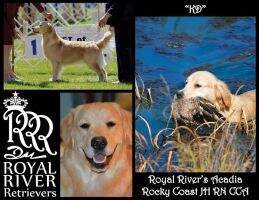 Royal River's Acadia Rocky Coast RN CCA Royal River's Acadia Rocky Coast RN CCA