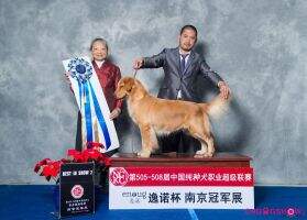 PRC-CH Tinyipets' Passionate Ruby PRC-CH Tinyipets' Passionate Ruby