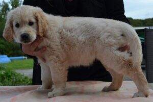 mila (daughter of Idaho de Menufays)