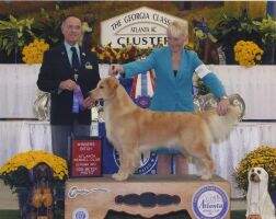 Amberglo's Defying Gravity at Maplecroft BN RM DN TKI CGCA
