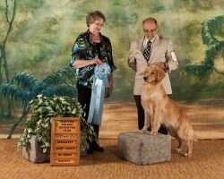 GOLDHAVEN'S ROYAL AFFAIR