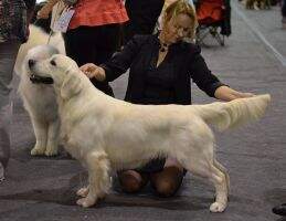 EST I'm Terra Antyda Pure Passion