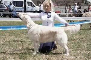4xCh Ua ARABIKA-KRISTI ZOLOTAYA NITOCHKA 4xCh Ua ARABIKA-KRISTI ZOLOTAYA NITOCHKA