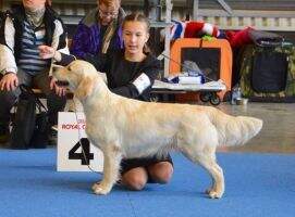 FIN BALT TLNJW15 Bella Dorata Cheery Chanelle