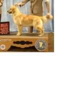 Huntleigh's No Time To Paws CGCA