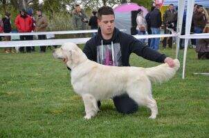 JChSK, ChSK ASHTIN Magic Darea