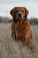 TQ keep your head up Cooper TQ keep your head up Cooper