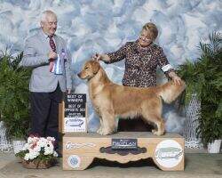 Phil. Cbear Auric Against All Odds