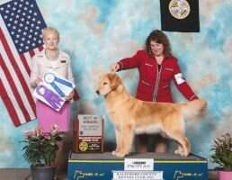 Wagntail's With Flying Colors DN CCA