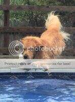 Ruffwater Giv'n Up The Goods
