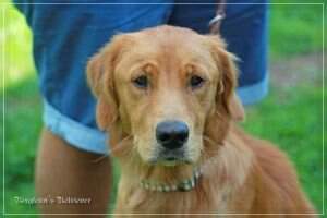 Bergfexn's Marley Bergfexn's Marley