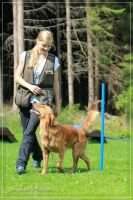 Bergfexn's Bastian Bergfexn's Bastian