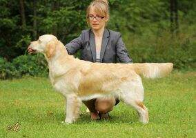 Meiepere Pearly (3*CC)