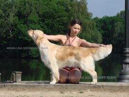 JCH.Lt, JCH.Pl, Ch.Pl. MONA LISA Szczesliwy Slon JCH.Lt, JCH.Pl, Ch.Pl. MONA LISA Szczesliwy Slon