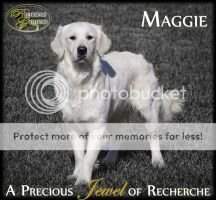 A Precious Jewel of Recherche