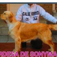 Ordesa de Sonymar