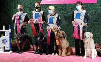 MACH13 PACH2 Gaylan's Black Tie N Tails BN MXB4 MJC4 MXP6 MXPS MJP6 MJPS MFB TQX TKN PADHF
