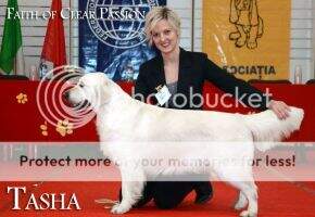 RO Champion of Champions 2014 Faith of Clear Passion