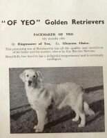 Pacemaker of Yeo