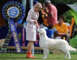 Ch.PL UA LT RO SRB BLUEBERRY From Arian Hill