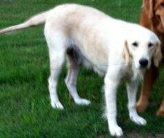 Maggie May Sellers Maggie May Sellers