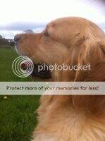 Stormerick In The Groove By Mawreddog