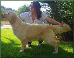 Reina de Oro del Olimpo