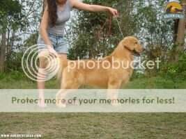 Goldentrip Best Of My Love Goldentrip Best Of My Love