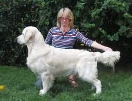 Ukraine Belarus Huntmagic Businessman