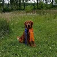Whispering Firs Tucker Boy Thistle Rock