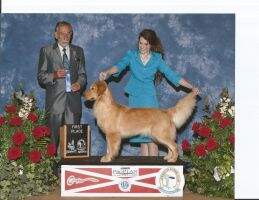 Stonebrook Winning Colors At Steelecreek