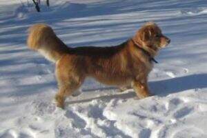Stormy Point's Shala Love Bailey